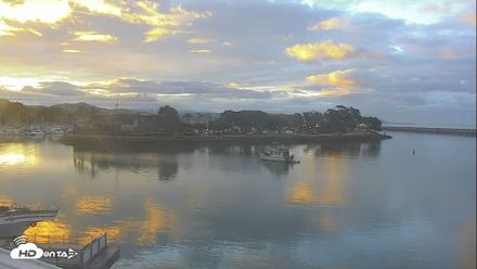 Dana Point Harbor Laguna Cliffs Resort Live Webcam - May 29, 2026, 5:55am PDT