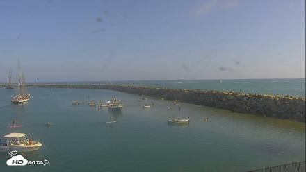Dana Point Harbor Laguna Cliffs Resort Live Webcam - Sep 13, 2026, 4:13pm PDT