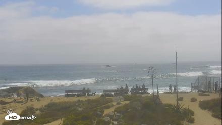Dana Point Harbor Laguna Cliffs Resort Live Webcam - Jun 17, 2026, 3:29pm PDT