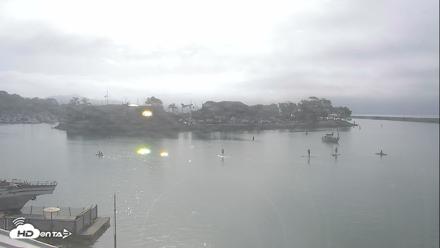 Dana Point Harbor Laguna Cliffs Resort Live Webcam - Aug 22, 2026, 8:46am PDT