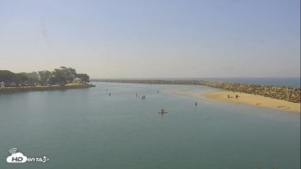 Dana Point Harbor Laguna Cliffs Resort Live Webcam - May 20, 2026, 10:31am PDT