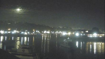 Dana Point Harbor Laguna Cliffs Resort Live Webcam - Oct 10, 2025, 9:52pm PDT