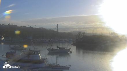 Dana Point Harbor Laguna Cliffs Resort Live Webcam - Sep 28, 2026, 7:33am PDT