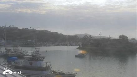 Dana Point Harbor Laguna Cliffs Resort Live Webcam - Jul 12, 2026, 8:18am PDT