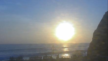 Dana Point Harbor Laguna Cliffs Resort Live Webcam - Nov 2, 2025, 4:38pm PST