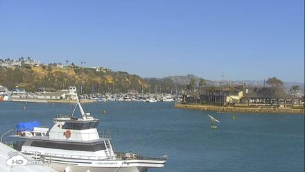 Dana Point Harbor Laguna Cliffs Resort Live Webcam - Oct 2, 2026, 3:23pm PDT