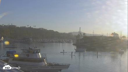 Dana Point Harbor Laguna Cliffs Resort Live Webcam - Oct 8, 2026, 8:00am PDT
