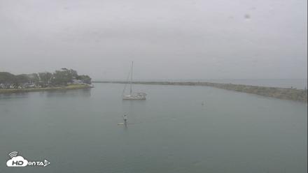 Dana Point Harbor Laguna Cliffs Resort Live Webcam - Sep 24, 2026, 8:34am PDT