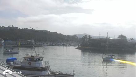 Dana Point Harbor Laguna Cliffs Resort Live Webcam - Aug 7, 2026, 8:54am PDT