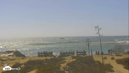 Dana Point Harbor Laguna Cliffs Resort Live Webcam - Sep 28, 2026, 2:24pm PDT