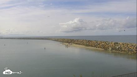 Dana Point Harbor Laguna Cliffs Resort Live Webcam - May 4, 2026, 9:44am PDT