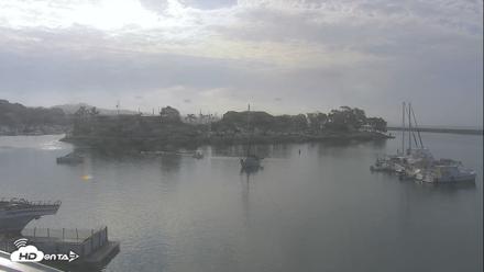 Dana Point Harbor Laguna Cliffs Resort Live Webcam - Jul 12, 2026, 8:19am PDT