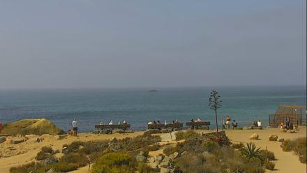 Dana Point Harbor Laguna Cliffs Resort Live Webcam - Sep 22, 2025, 11:04am PDT