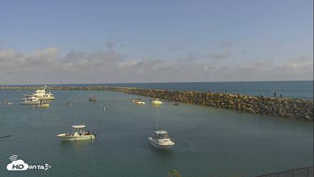 Dana Point Harbor Laguna Cliffs Resort Live Webcam - May 23, 2026, 4:29pm PDT