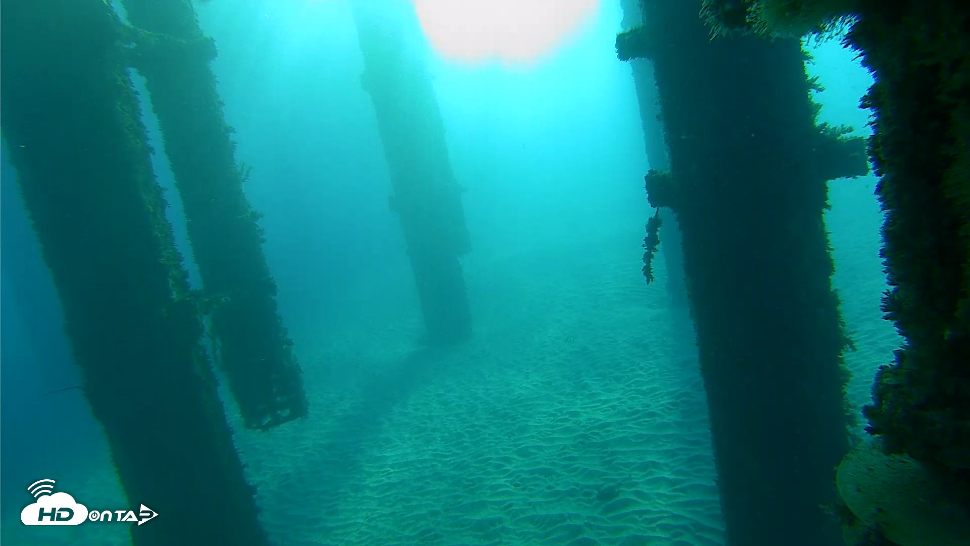 Snapshot of Scripps Pier Underwater Live Webcam taken Oct 19, 2026, 8:06am PDT