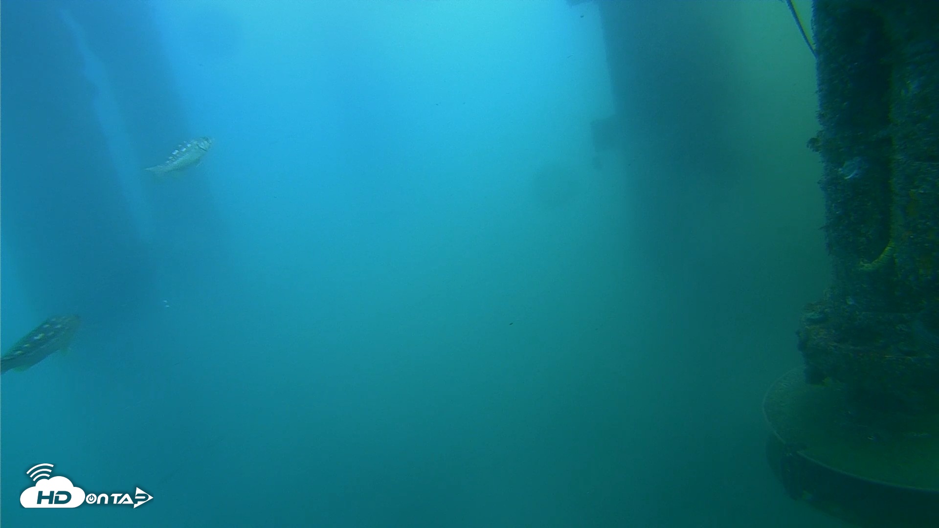 Snapshot of Scripps Pier Underwater Live Webcam taken Jul 27, 2026, 8:17am PDT
