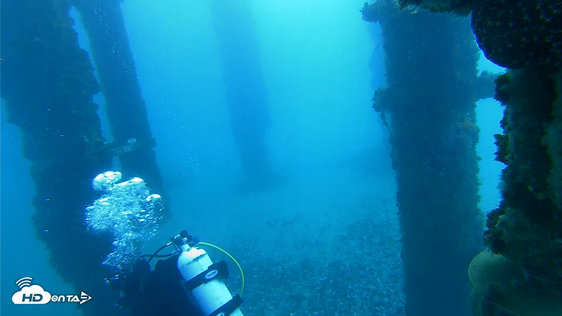 Snapshot of Scripps Pier Underwater Live Webcam taken Jan 24, 2026, 8:28am PST
