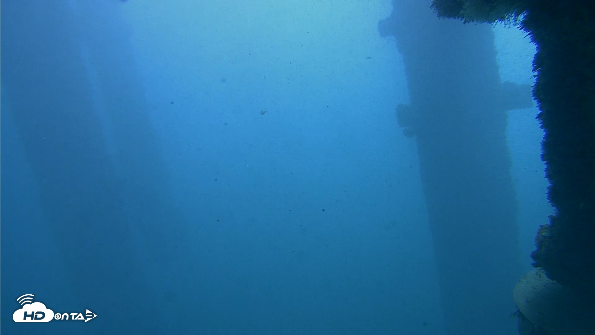 Snapshot of Scripps Pier Underwater Live Webcam taken Oct 19, 2026, 10:55am PDT