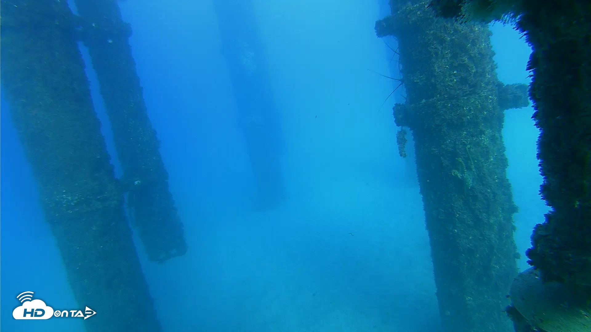 Snapshot of Scripps Pier Underwater Live Webcam taken Oct 19, 2026, 4:46pm PDT