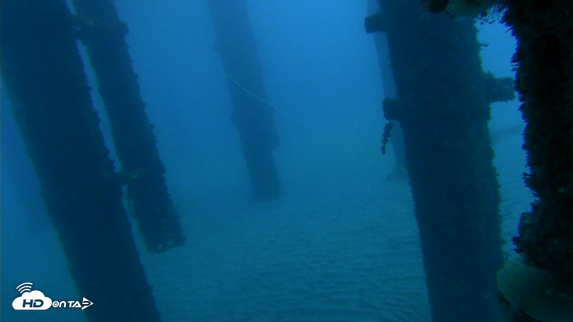 Snapshot of Scripps Pier Underwater Live Webcam taken Oct 17, 2026, 7:02am PDT