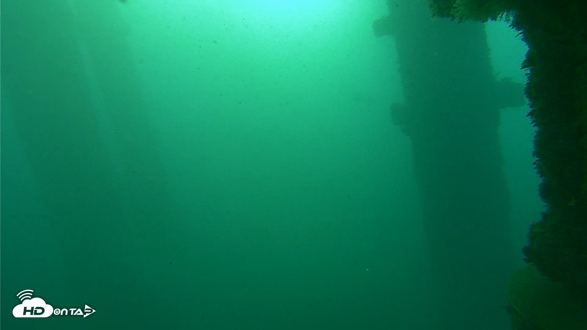 Snapshot of Scripps Pier Underwater Live Webcam taken Oct 20, 2026, 7:56am PDT