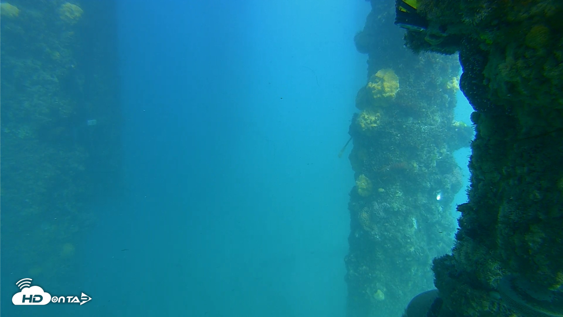 Snapshot of Scripps Pier Underwater Live Webcam taken Apr 27, 2025, 3:50pm PDT