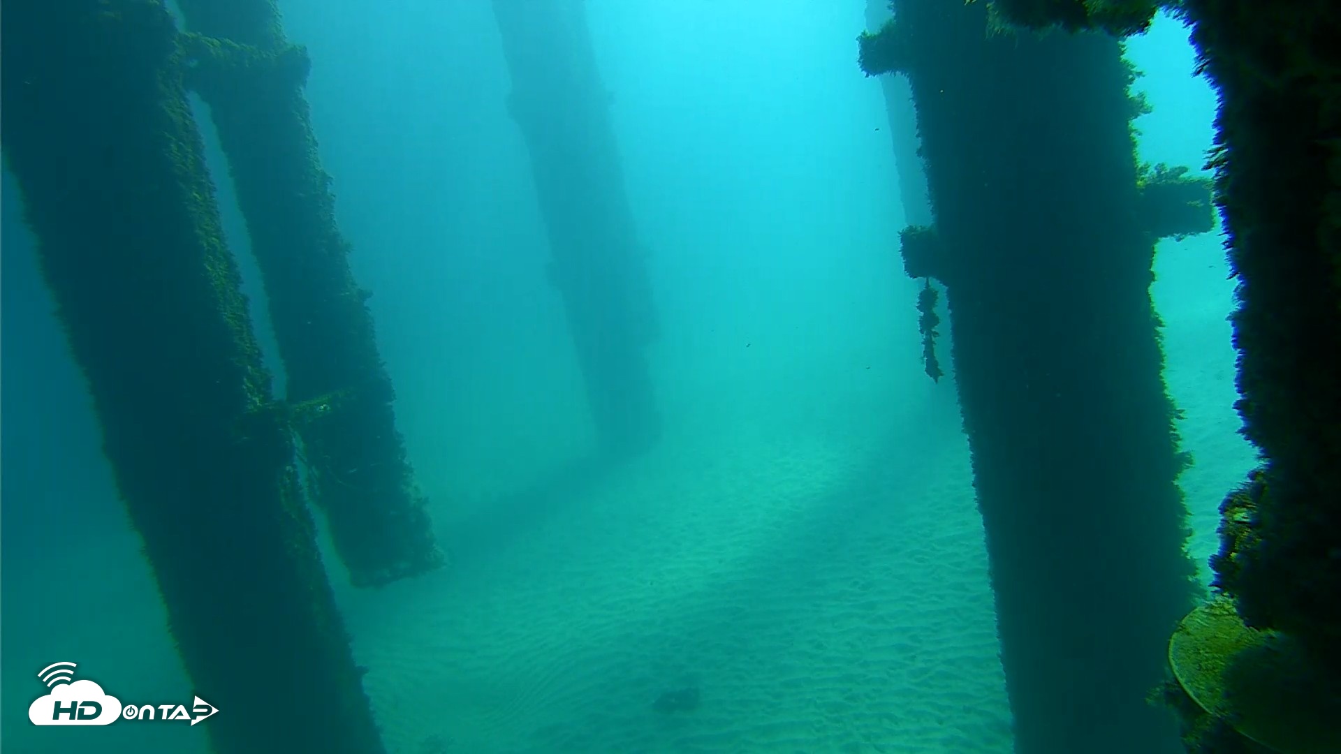 Snapshot of Scripps Pier Underwater Live Webcam taken Oct 7, 2026, 10:03am PDT