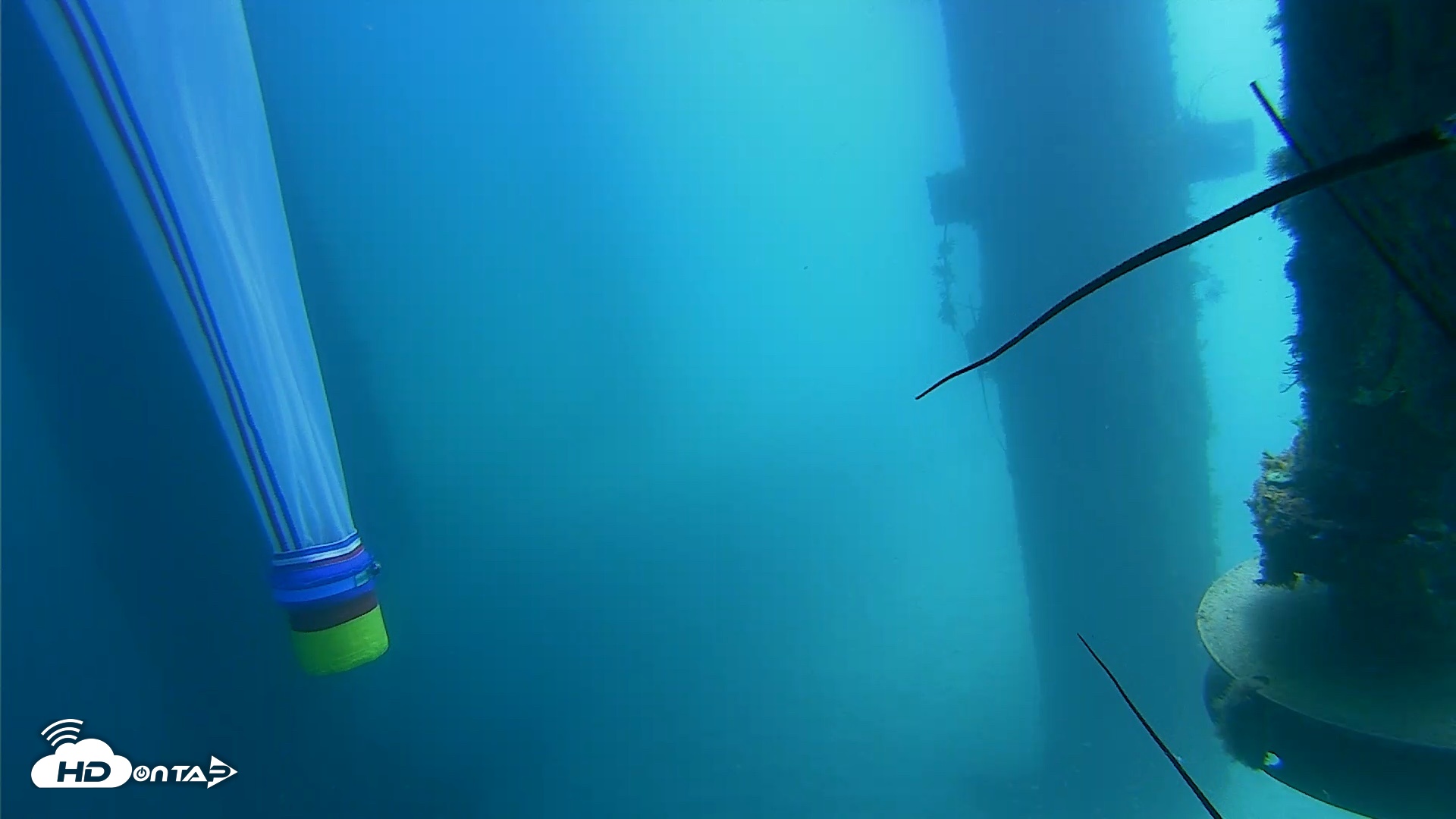 Snapshot of Scripps Pier Underwater Live Webcam taken Aug 6, 2026, 12:23pm PDT