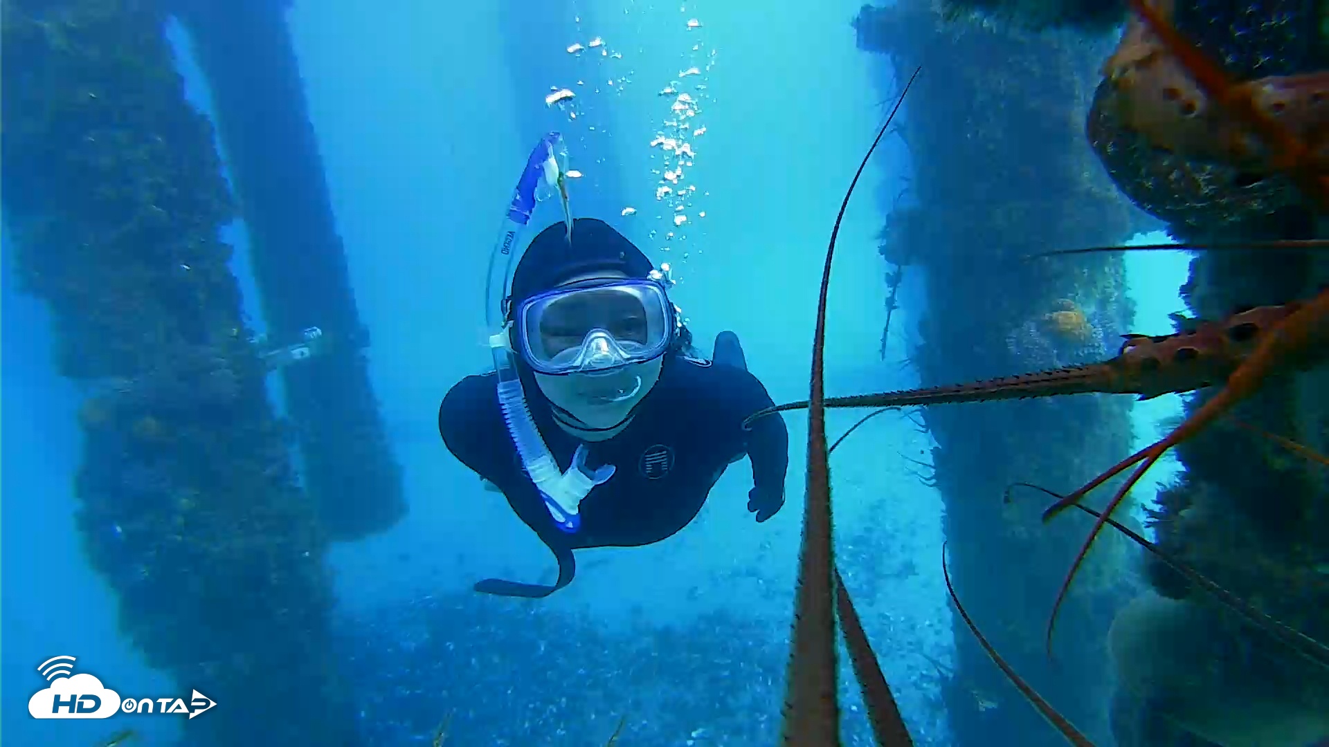 Snapshot of Scripps Pier Underwater Live Webcam taken Jan 28, 2026, 2:12pm PST