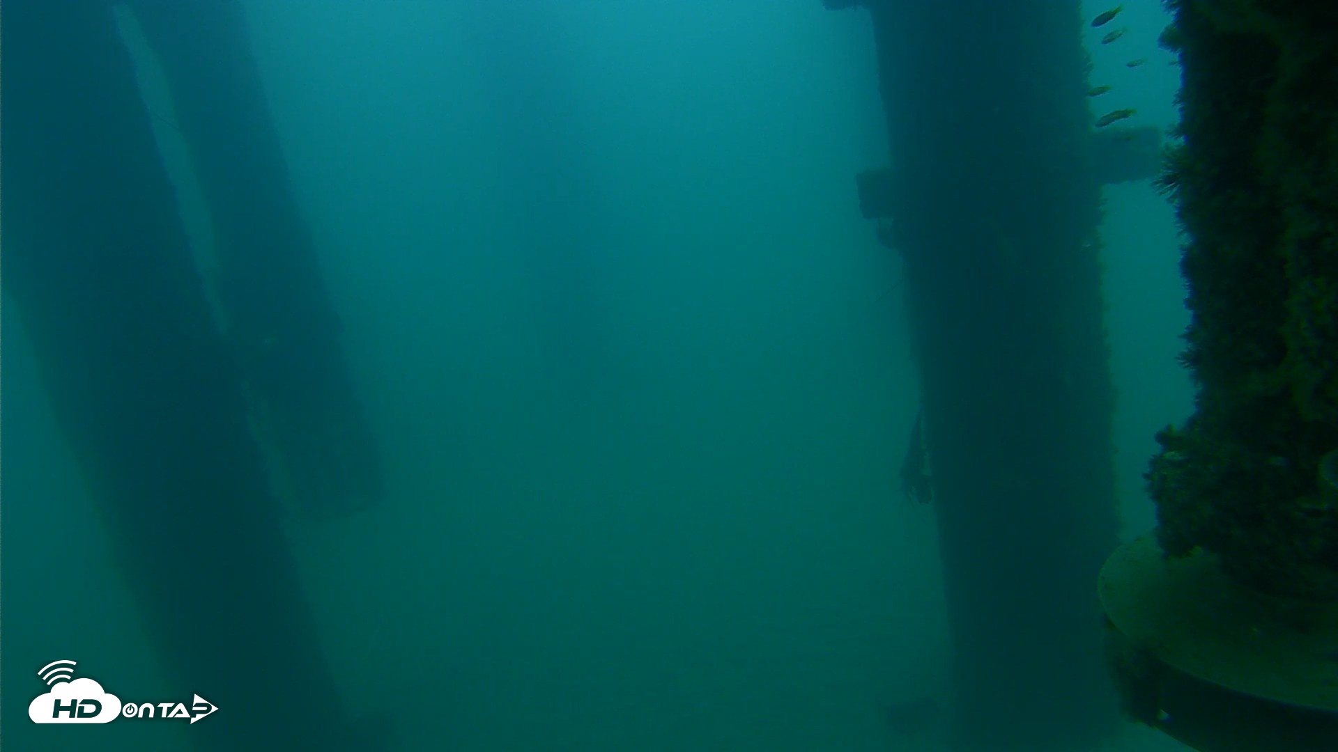 Snapshot of Scripps Pier Underwater Live Webcam taken Aug 23, 2026, 6:24am PDT