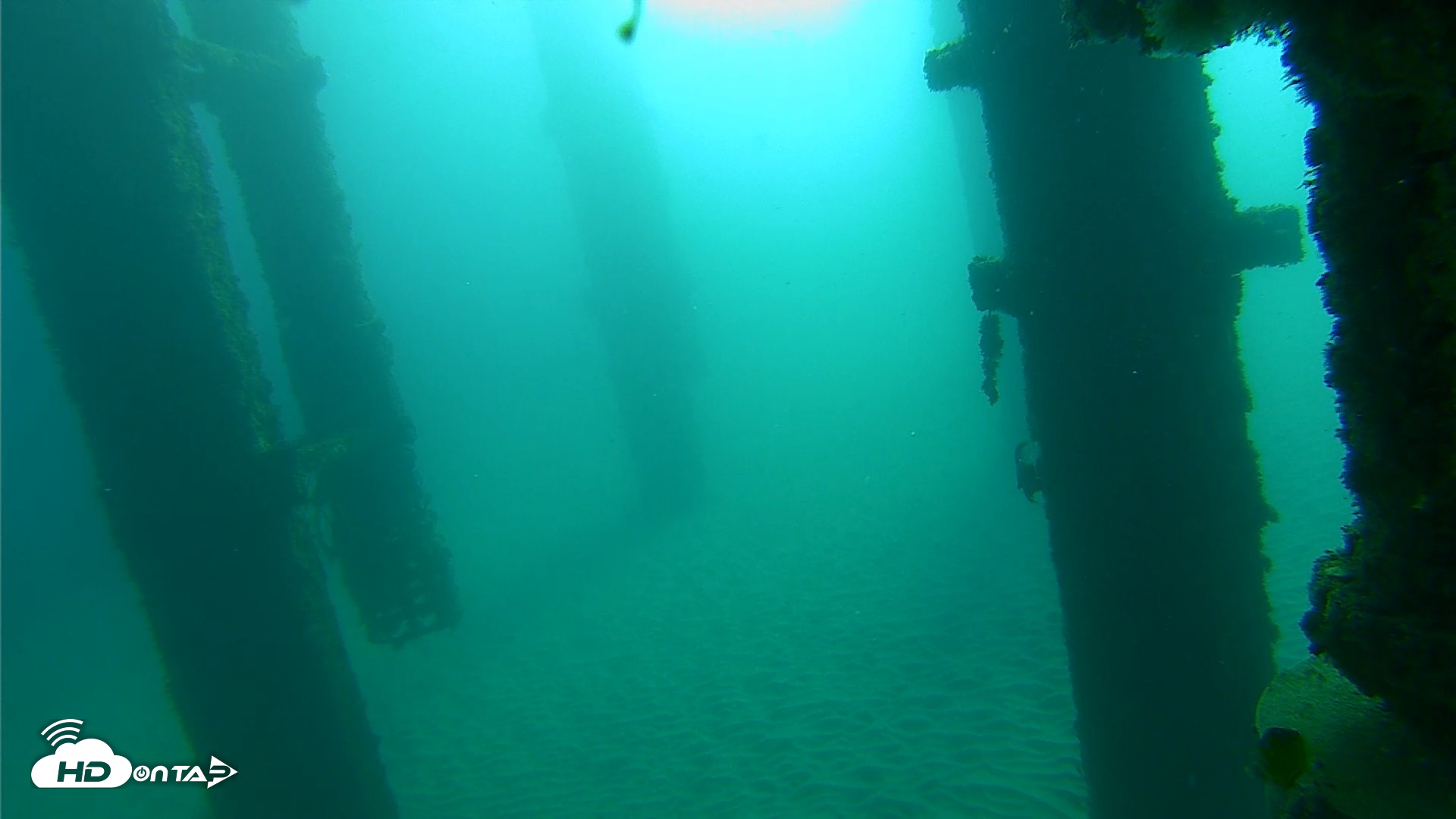 Snapshot of Scripps Pier Underwater Live Webcam taken Oct 20, 2026, 8:54am PDT