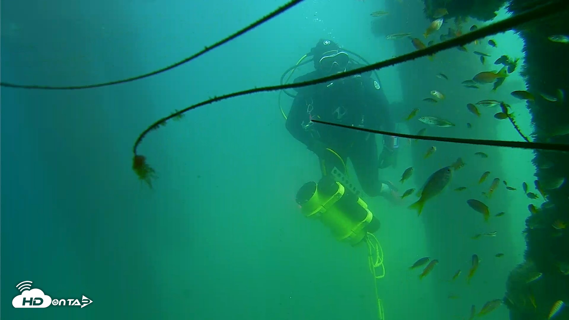 Snapshot of Scripps Pier Underwater Live Webcam taken Sep 18, 2026, 2:19pm PDT
