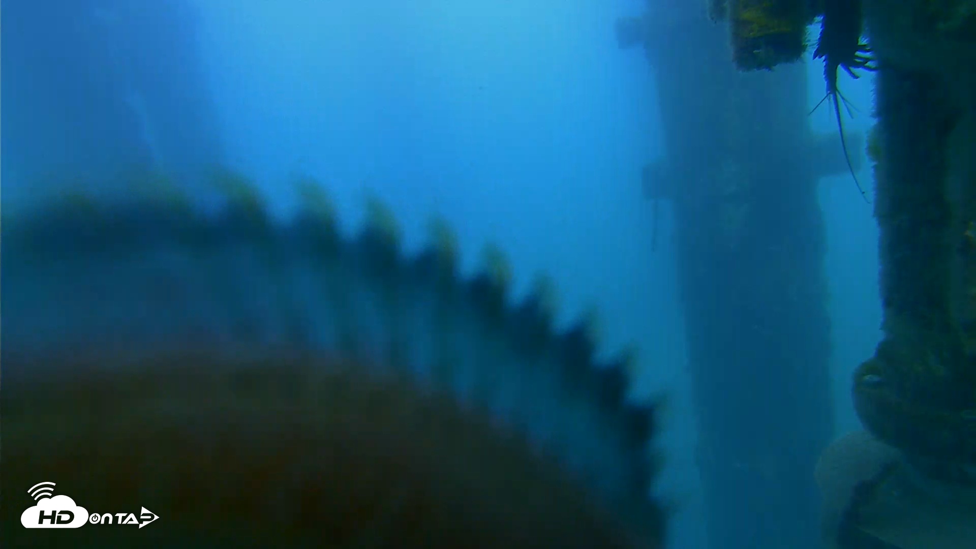 Snapshot of Scripps Pier Underwater Live Webcam taken Mar 18, 2026, 6:55pm PDT