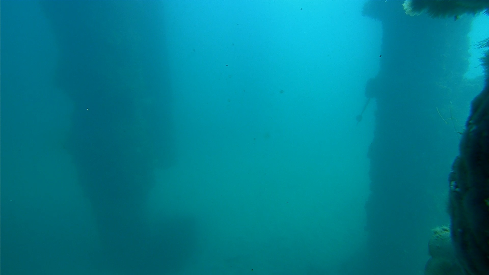 Snapshot of Scripps Pier Underwater Live Webcam taken Jan 15, 2025, 11:49am PST