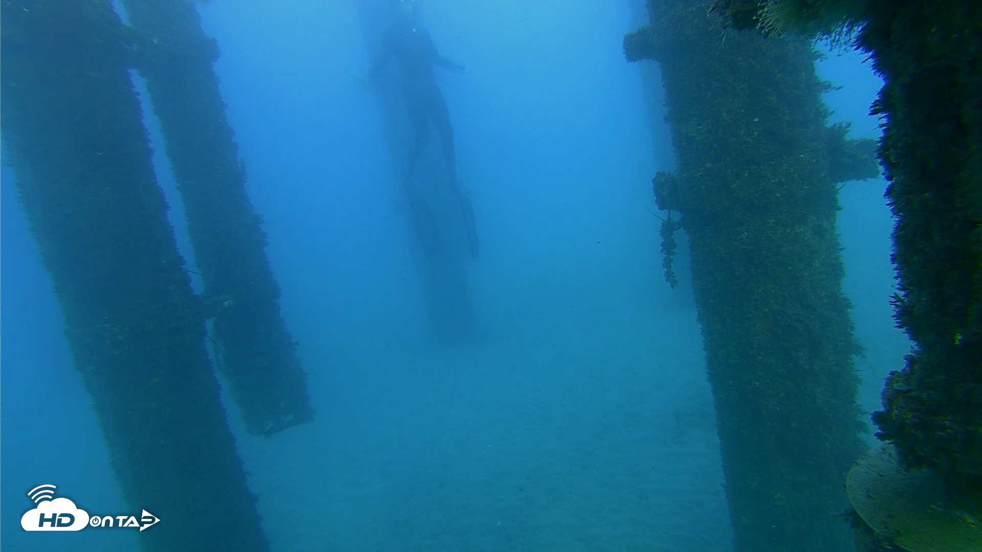 Snapshot of Scripps Pier Underwater Live Webcam taken Oct 19, 2026, 5:51pm PDT