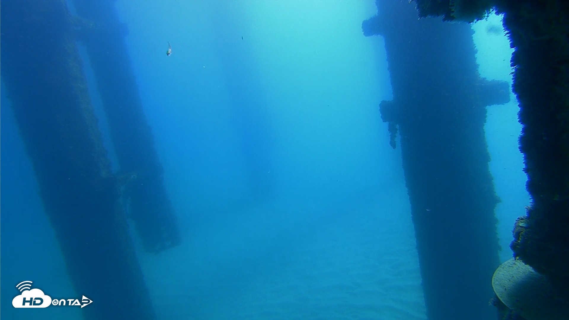 Snapshot of Scripps Pier Underwater Live Webcam taken Oct 21, 2026, 10:42am PDT