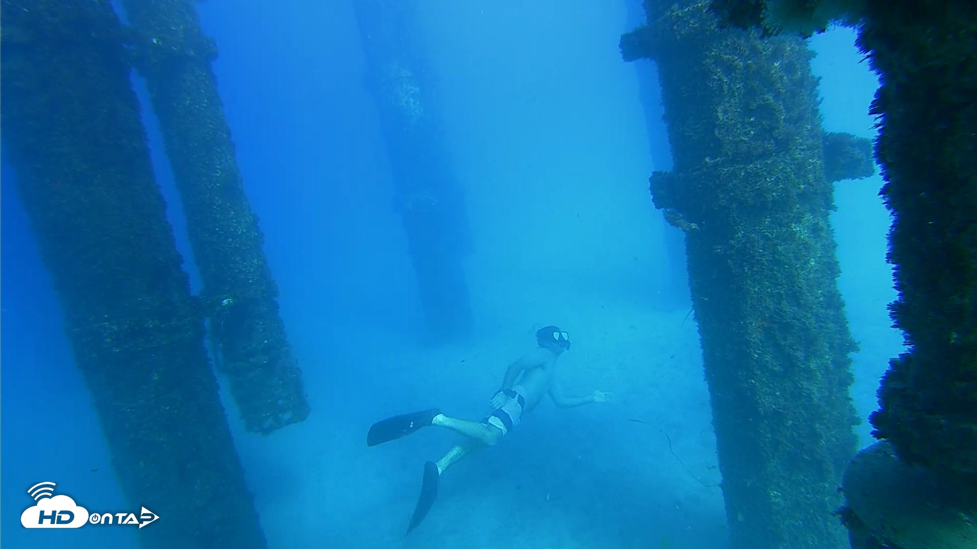 Snapshot of Scripps Pier Underwater Live Webcam taken Oct 19, 2026, 3:56pm PDT