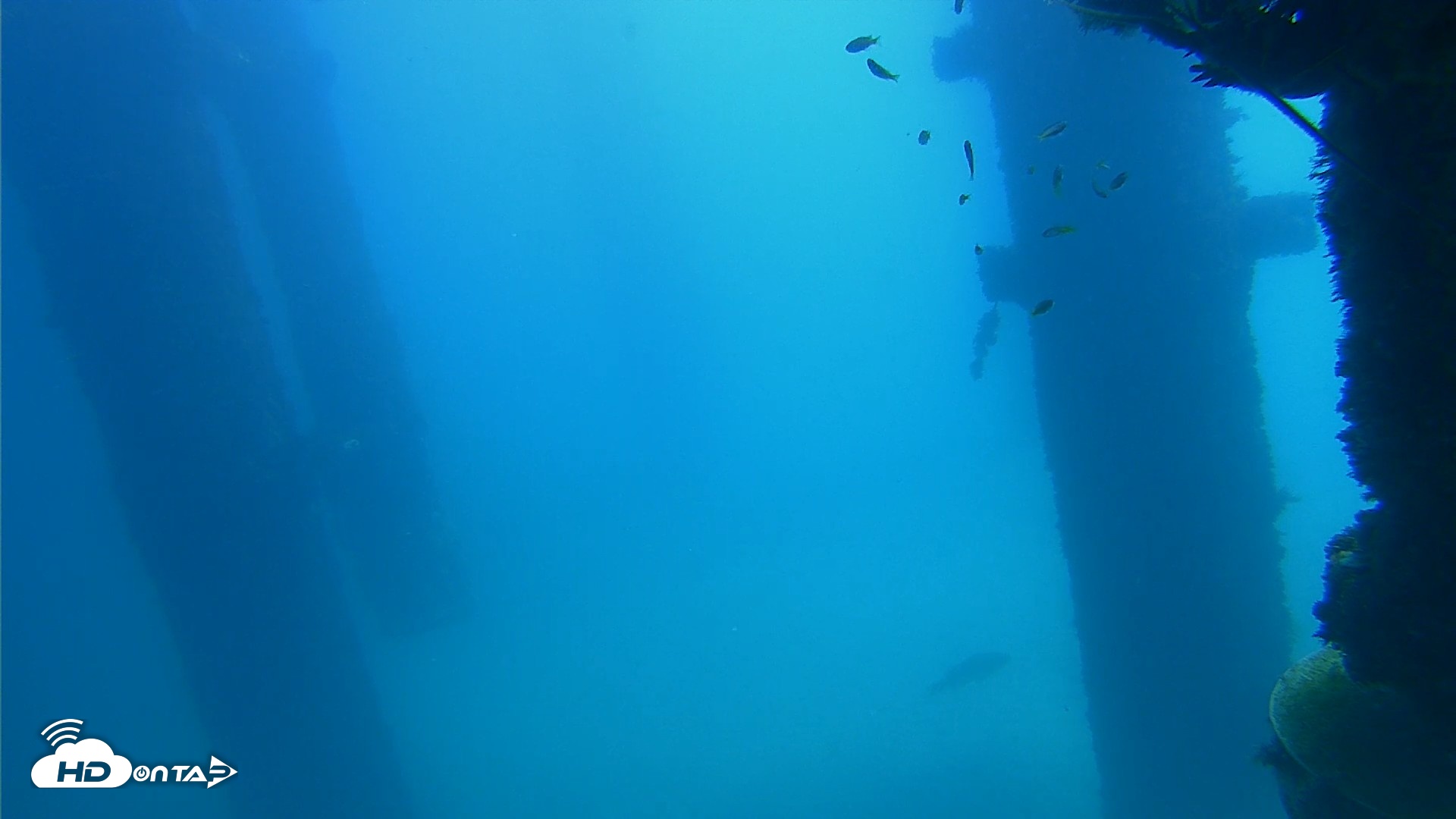 Snapshot of Scripps Pier Underwater Live Webcam taken Oct 9, 2026, 12:09pm PDT
