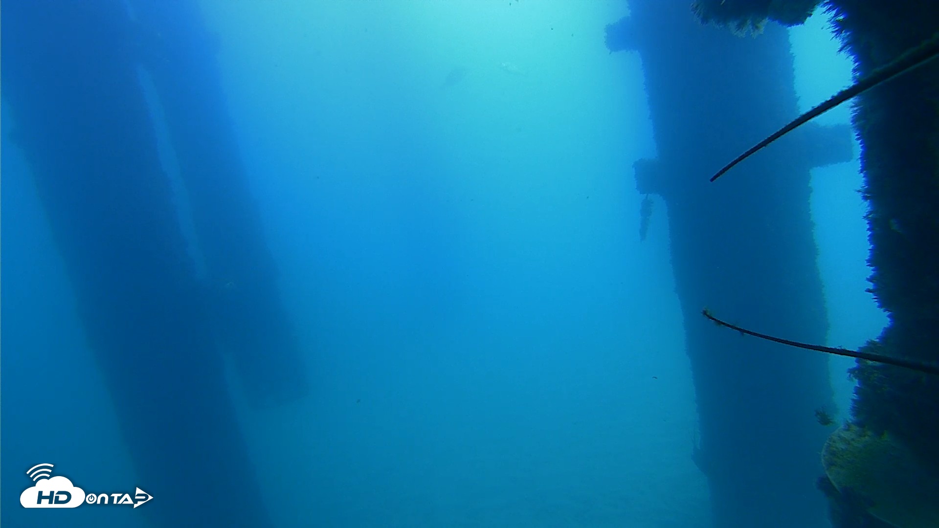 Snapshot of Scripps Pier Underwater Live Webcam taken Sep 21, 2026, 11:15am PDT