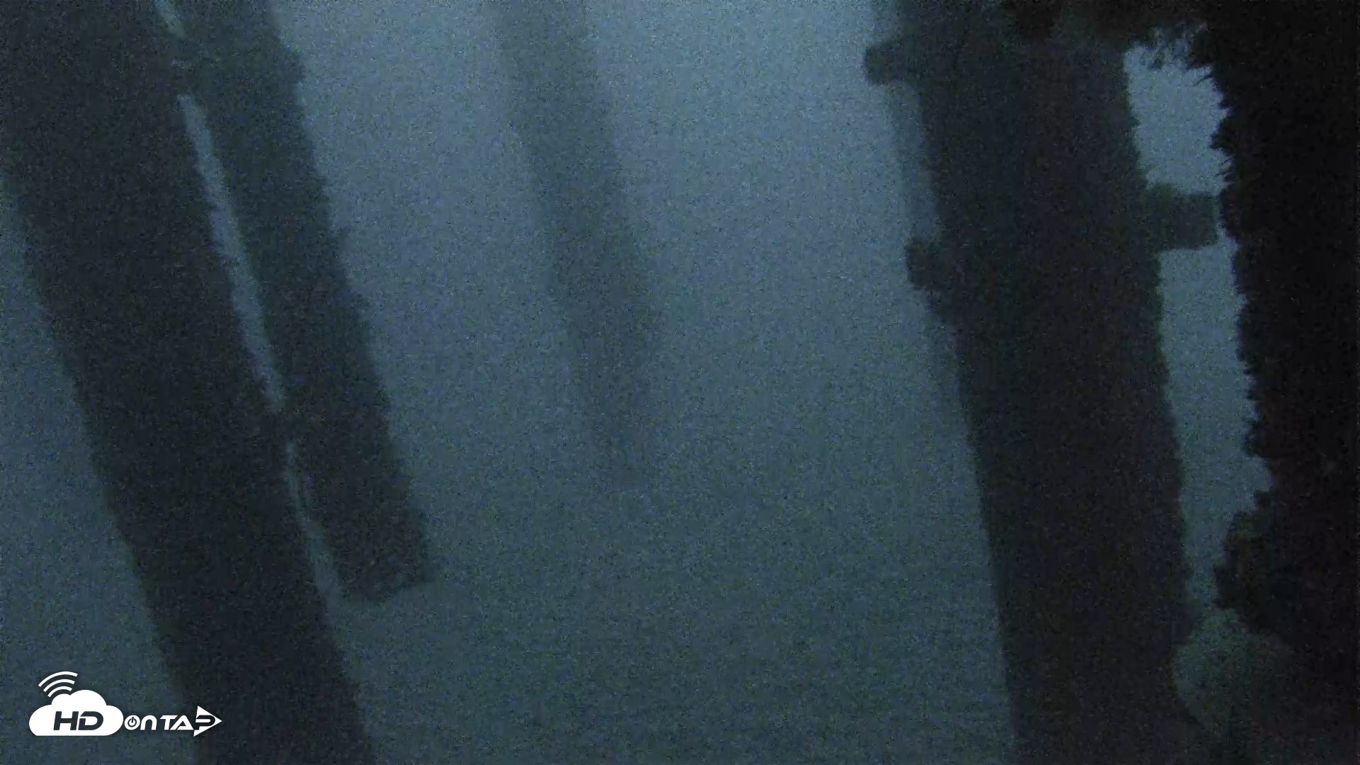 Snapshot of Scripps Pier Underwater Live Webcam taken Oct 19, 2026, 6:34am PDT