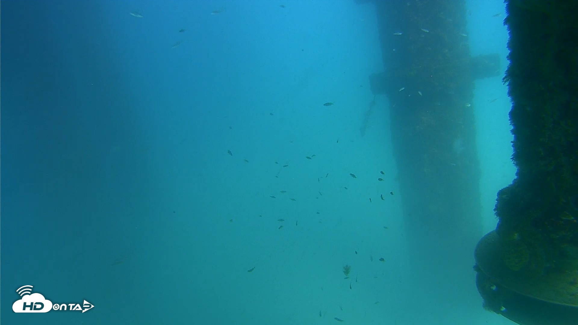 Snapshot of Scripps Pier Underwater Live Webcam taken Aug 26, 2026, 2:49pm PDT