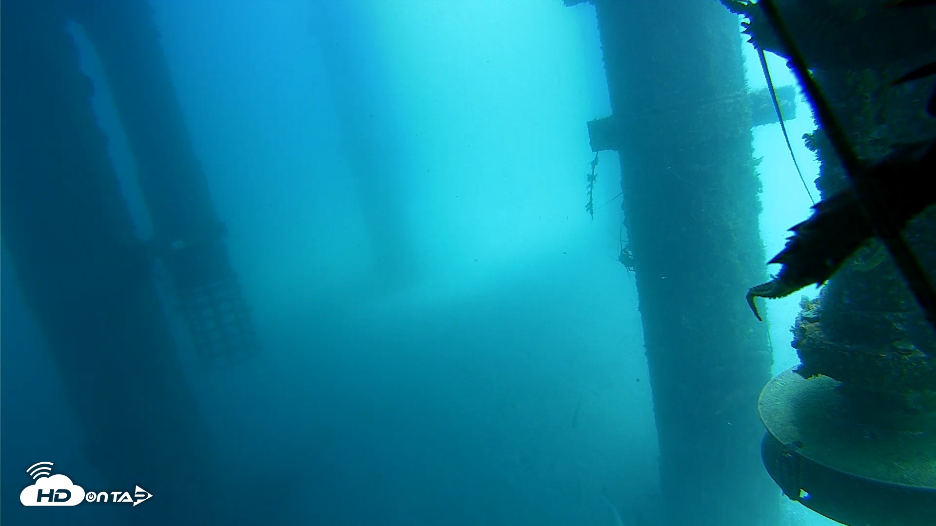 Snapshot of Scripps Pier Underwater Live Webcam taken Jul 25, 2026, 12:26pm PDT