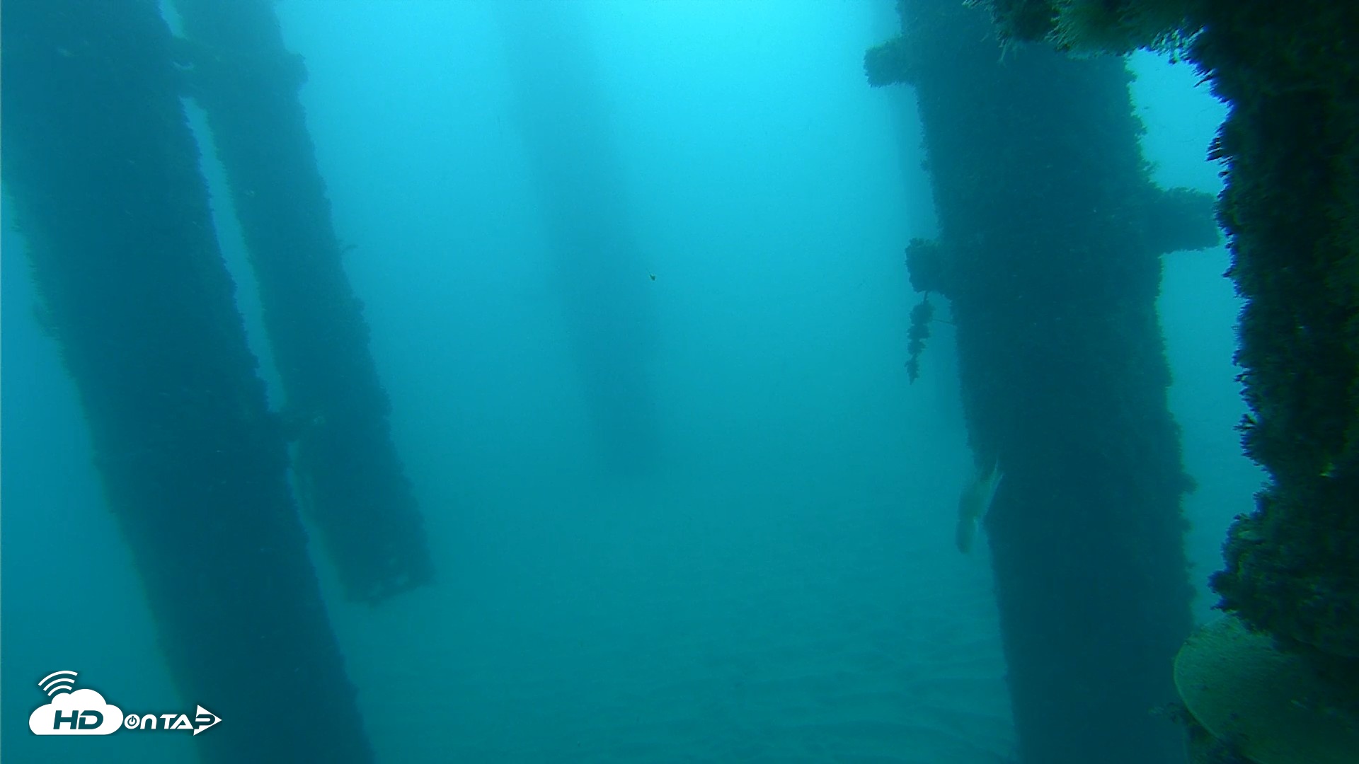 Snapshot of Scripps Pier Underwater Live Webcam taken Oct 21, 2026, 7:32am PDT