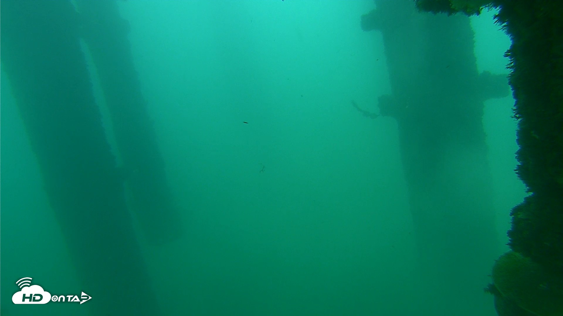 Snapshot of Scripps Pier Underwater Live Webcam taken Oct 10, 2026, 12:17pm PDT