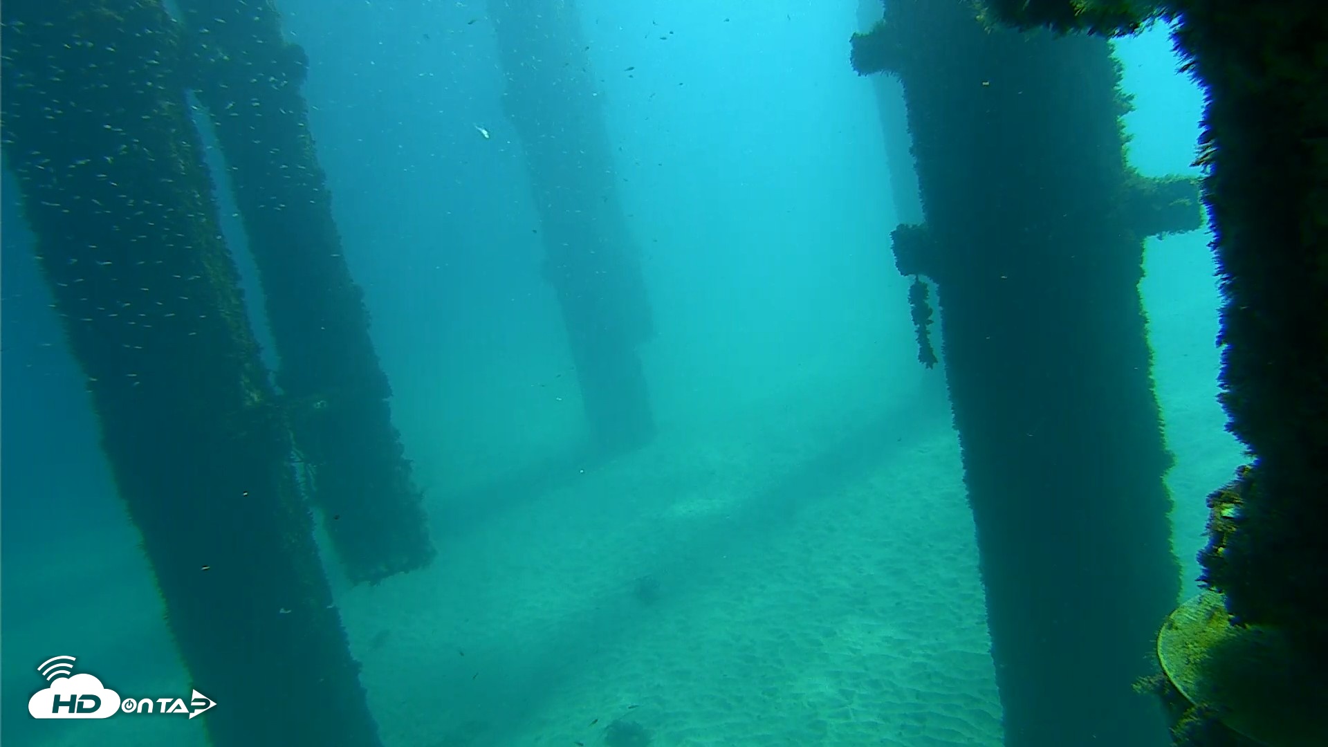 Snapshot of Scripps Pier Underwater Live Webcam taken Oct 7, 2026, 10:49am PDT