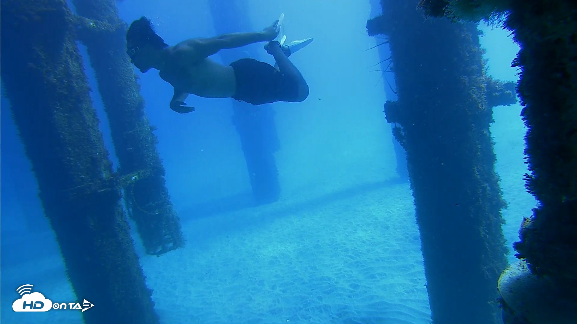 Snapshot of Scripps Pier Underwater Live Webcam taken Oct 19, 2026, 12:05pm PDT