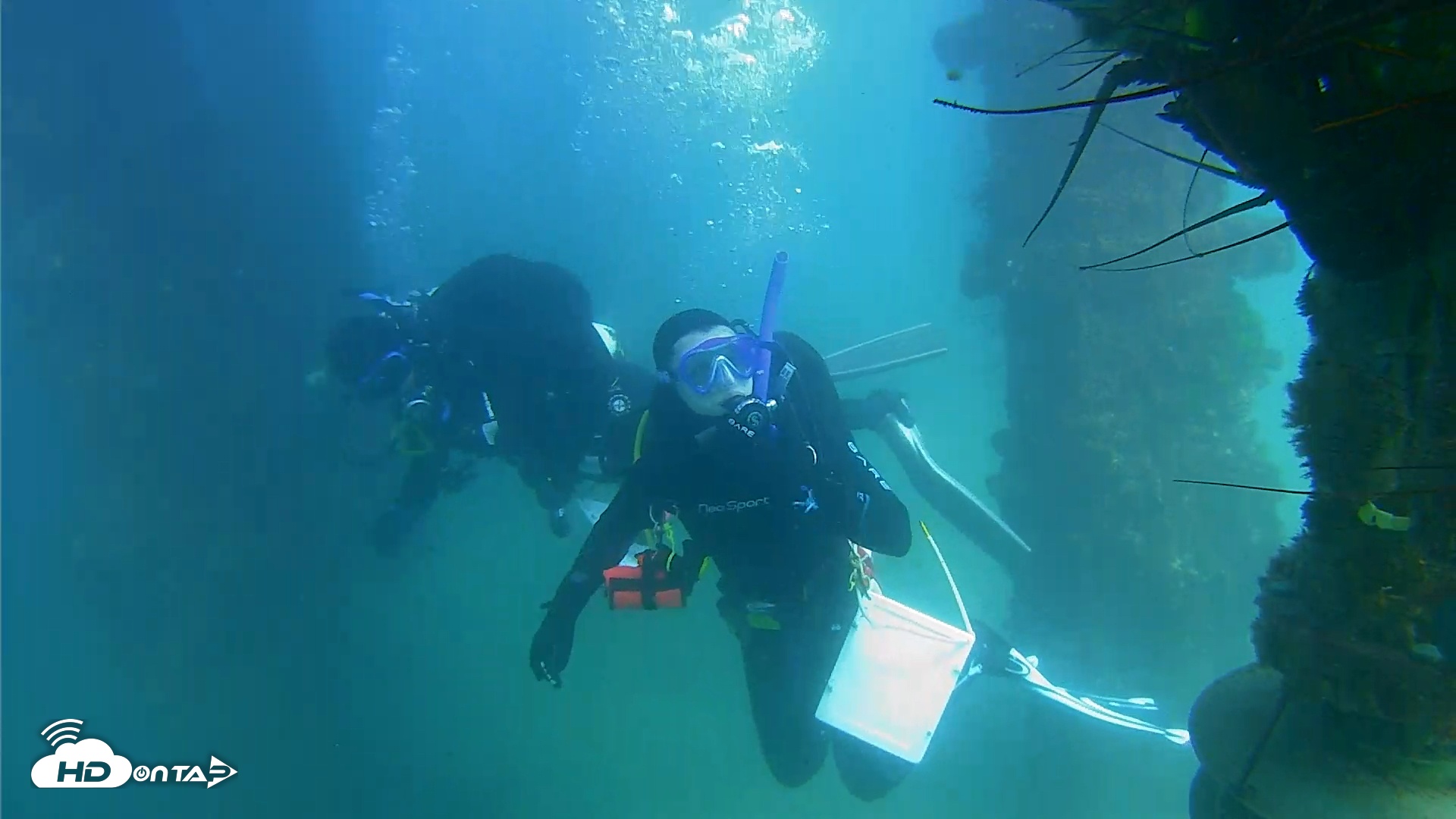Snapshot of Scripps Pier Underwater Live Webcam taken Sep 10, 2025, 3:31pm PDT