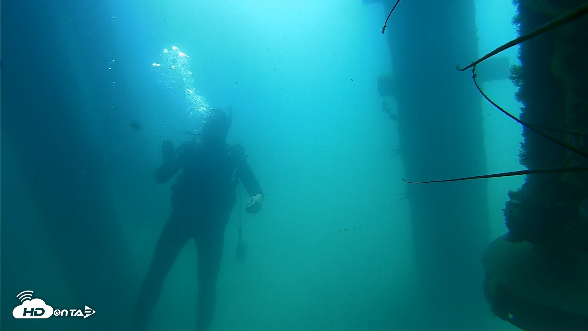 Snapshot of Scripps Pier Underwater Live Webcam taken Aug 18, 2026, 10:46am PDT