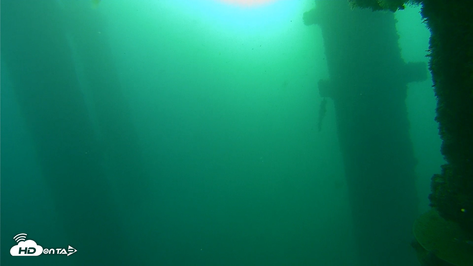 Snapshot of Scripps Pier Underwater Live Webcam taken Oct 13, 2026, 7:43am PDT
