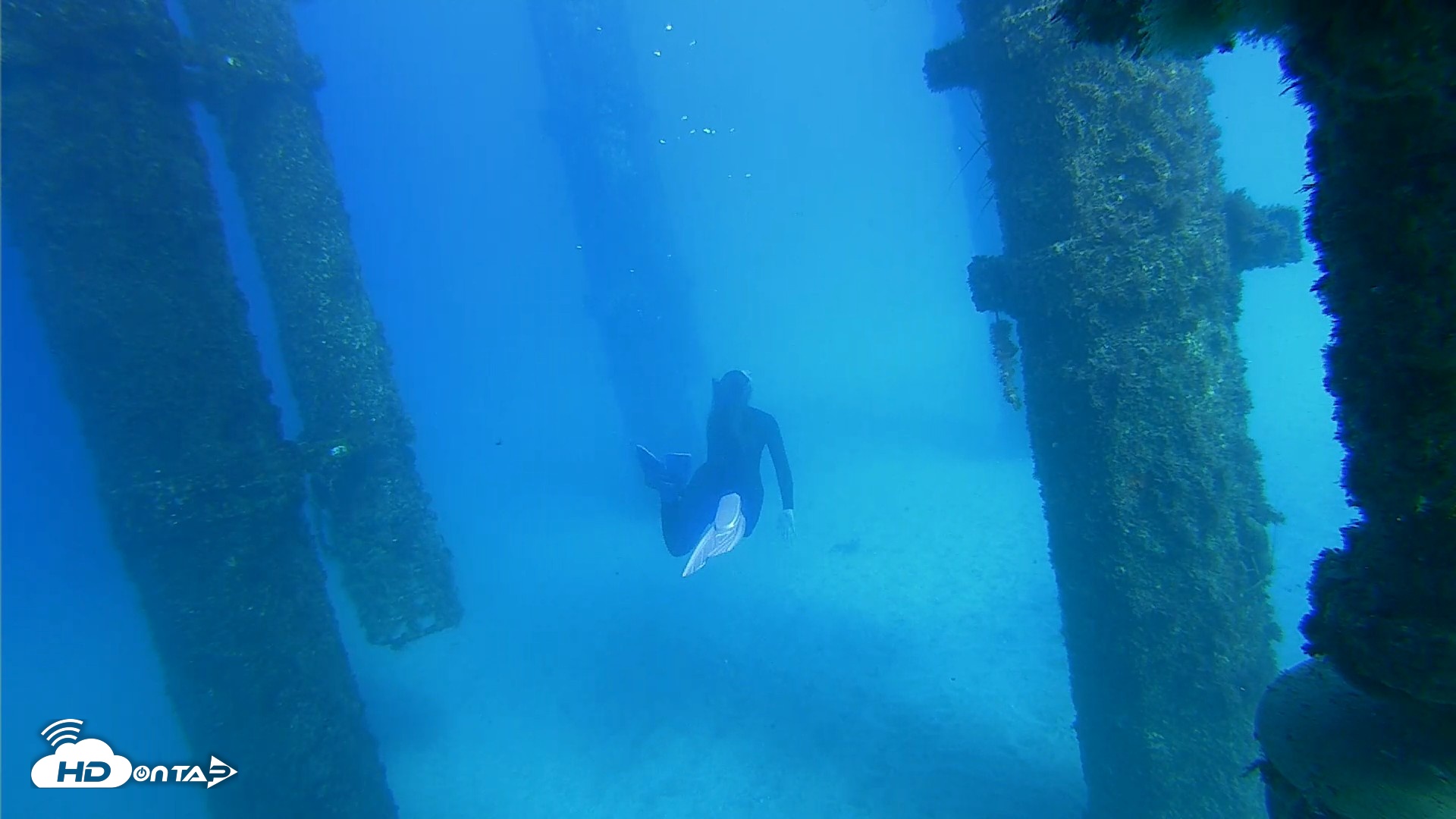 Snapshot of Scripps Pier Underwater Live Webcam taken Oct 19, 2026, 3:44pm PDT